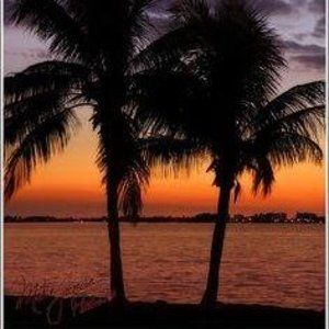 Meet your Posher, Sophia